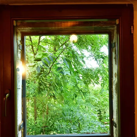 Dom wakacyjny Fangorn *