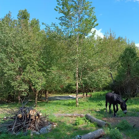 Dom wakacyjny Fangorn Castelli