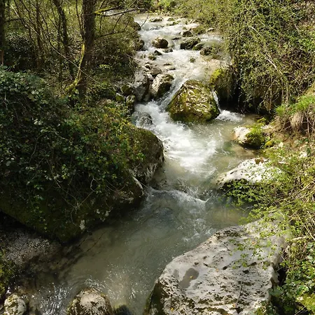 Fangorn Dom wakacyjny