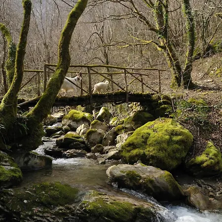 Nyaraló Fangorn Castelli