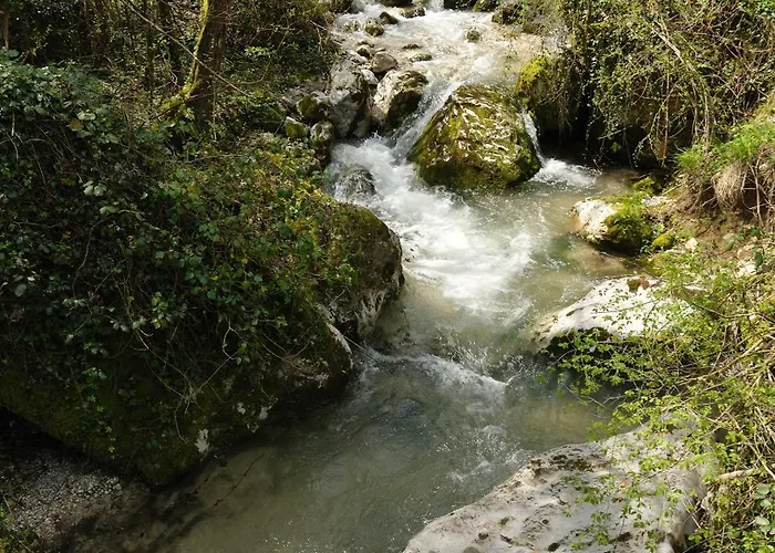 Fangorn Prázdninový dům