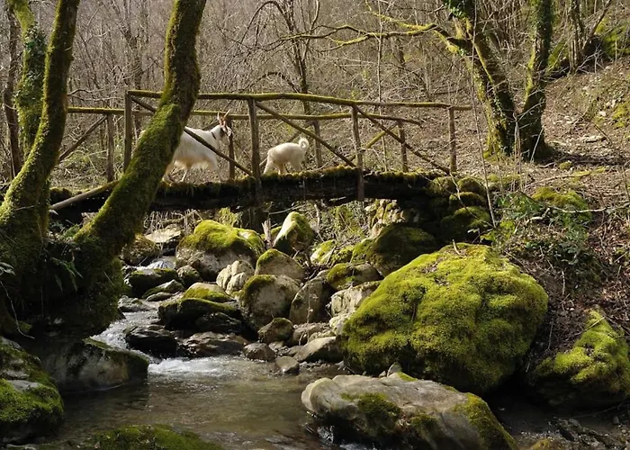 Prázdninový dům Fangorn Castelli